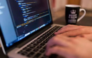 最有利于移民澳洲的6大专业,根据自身条件和对未来的走向选择适合自己的专业